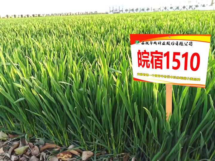 微信圖片_20220517093056.jpg 微信圖片_20220517093056.jpg